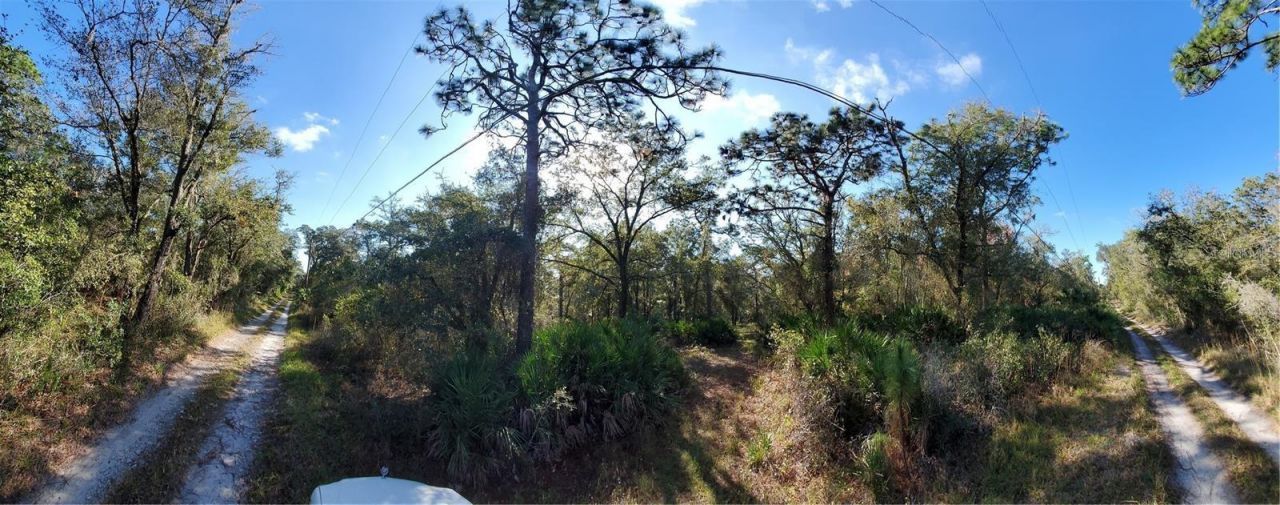 8738 Lindy Lane, New Port Richey, FL 34655 Photo