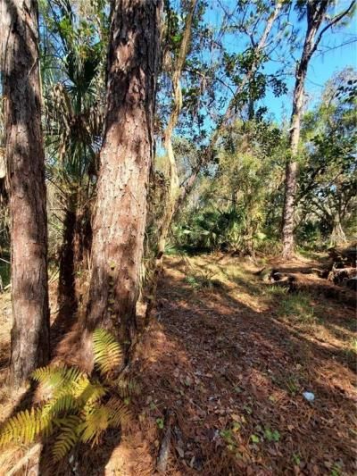 8738 Lindy Lane, New Port Richey, FL 34655 Photo