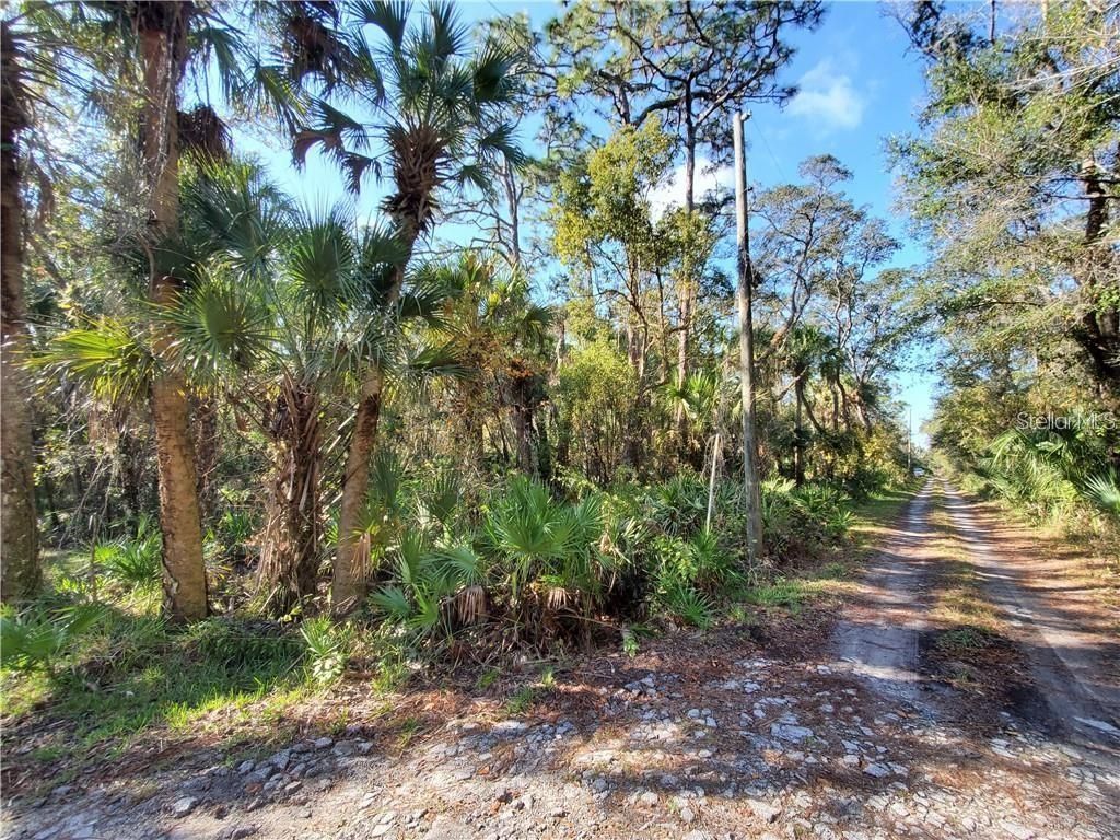 8738 Lindy Lane, New Port Richey, FL 34655 Photo