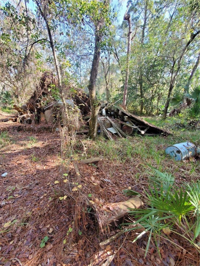 8738 Lindy Lane, New Port Richey, FL 34655 Photo