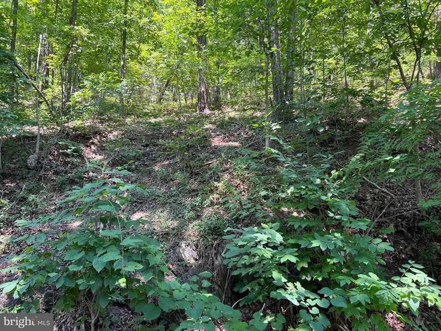 Hill Road, Warfordsburg, PA 17267 Main Photo