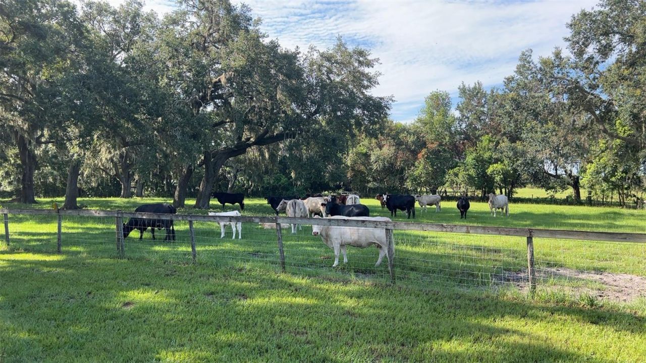 4880 Bannon Island Road, Haines City, FL 33844 Photo