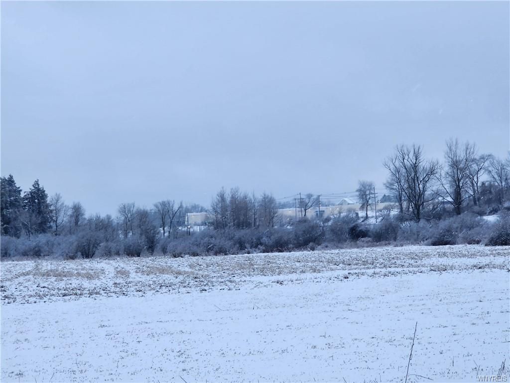 0 Waverly Street, Springville, NY 14141 Main Photo