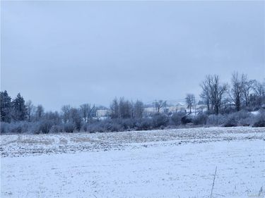 0 Waverly Street, Springville, NY 14141