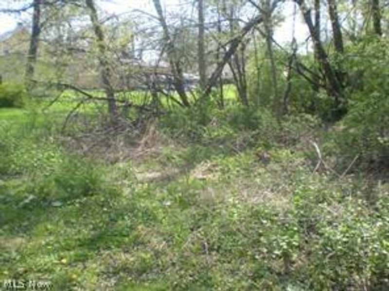 172 & 173 Belcher Avenue, Barberton, OH 44203 Photo 1