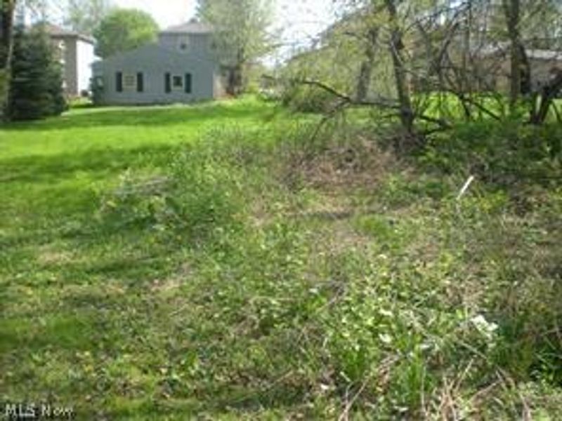 172 & 173 Belcher Avenue, Barberton, OH 44203 Photo 2