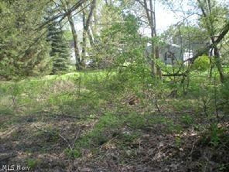 172 & 173 Belcher Avenue, Barberton, OH 44203 Photo 3