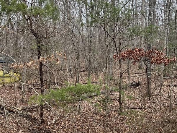 178 Meadowview Drive, Crossville, TN 38558