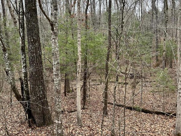 230 St. George Drive, Crossville, TN 38558