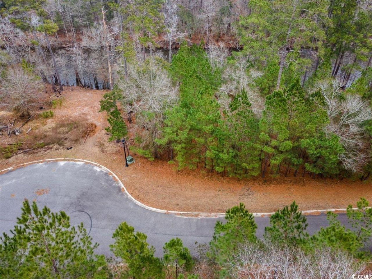 305 Cypress Flat Ct. Photo 10