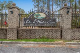305 Cypress Flat Ct. photo 4