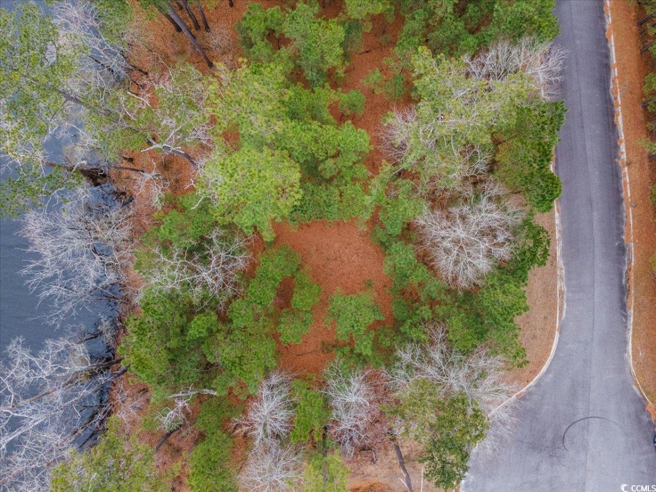 305 Cypress Flat Ct. Photo 21