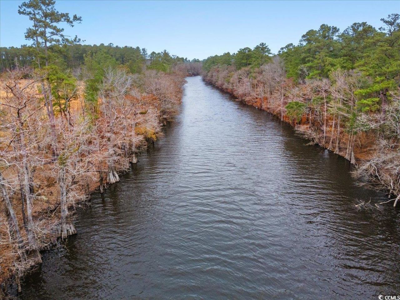 305 Cypress Flat Ct. Photo 23