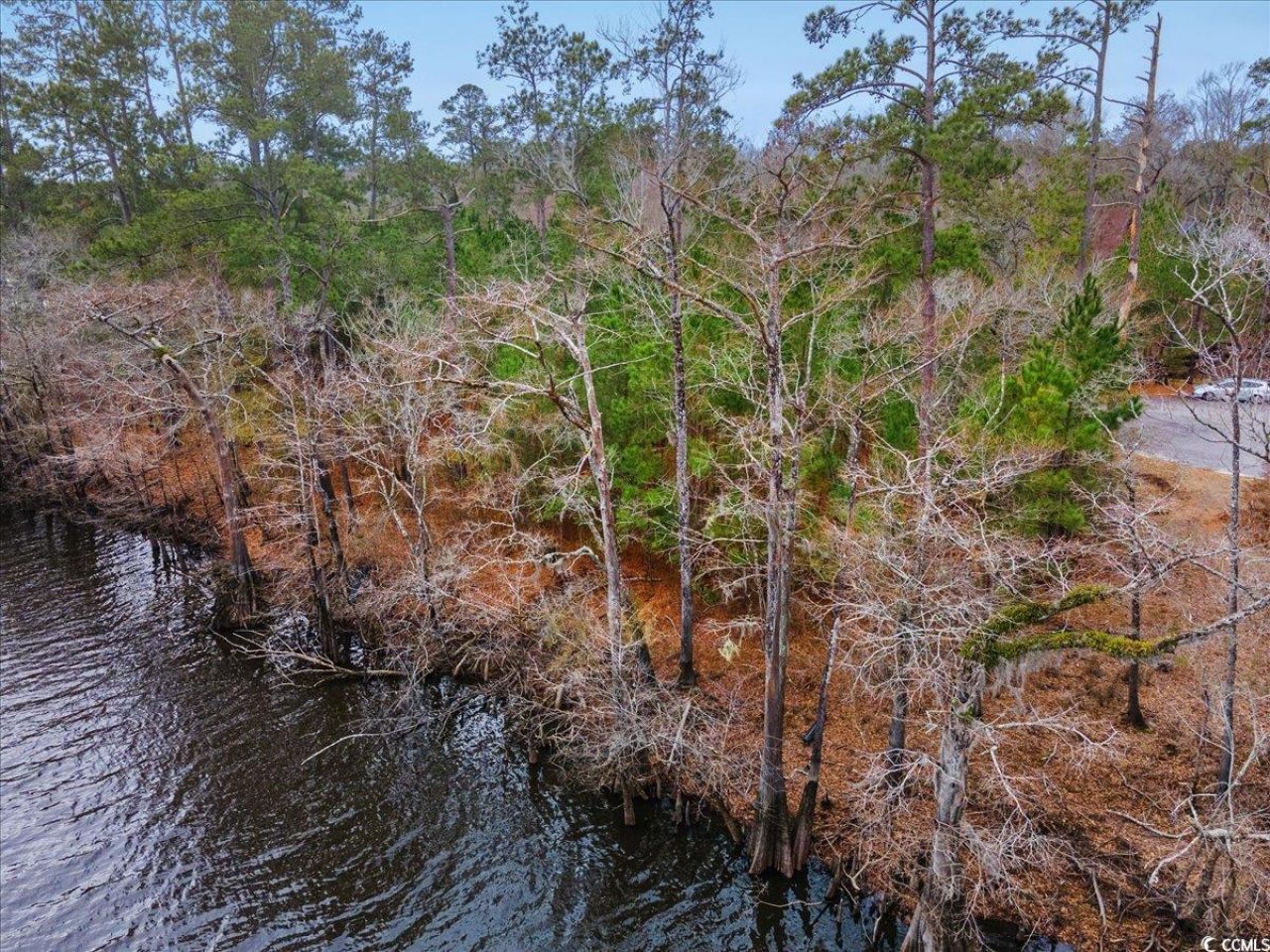 305 Cypress Flat Ct. Photo 24