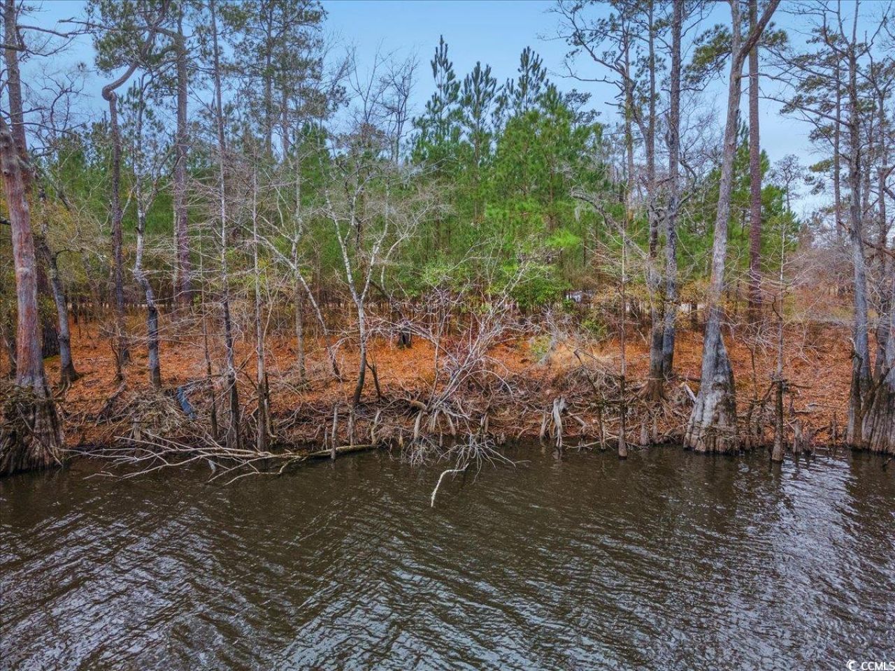 305 Cypress Flat Ct. Photo 25