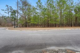 305 Cypress Flat Ct. photo 4