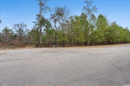305 Cypress Flat Ct. photo 4