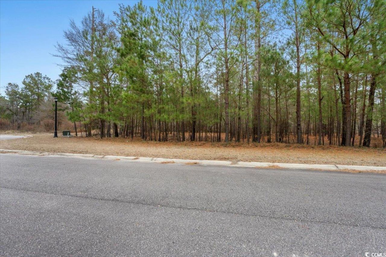 305 Cypress Flat Ct. Photo 5