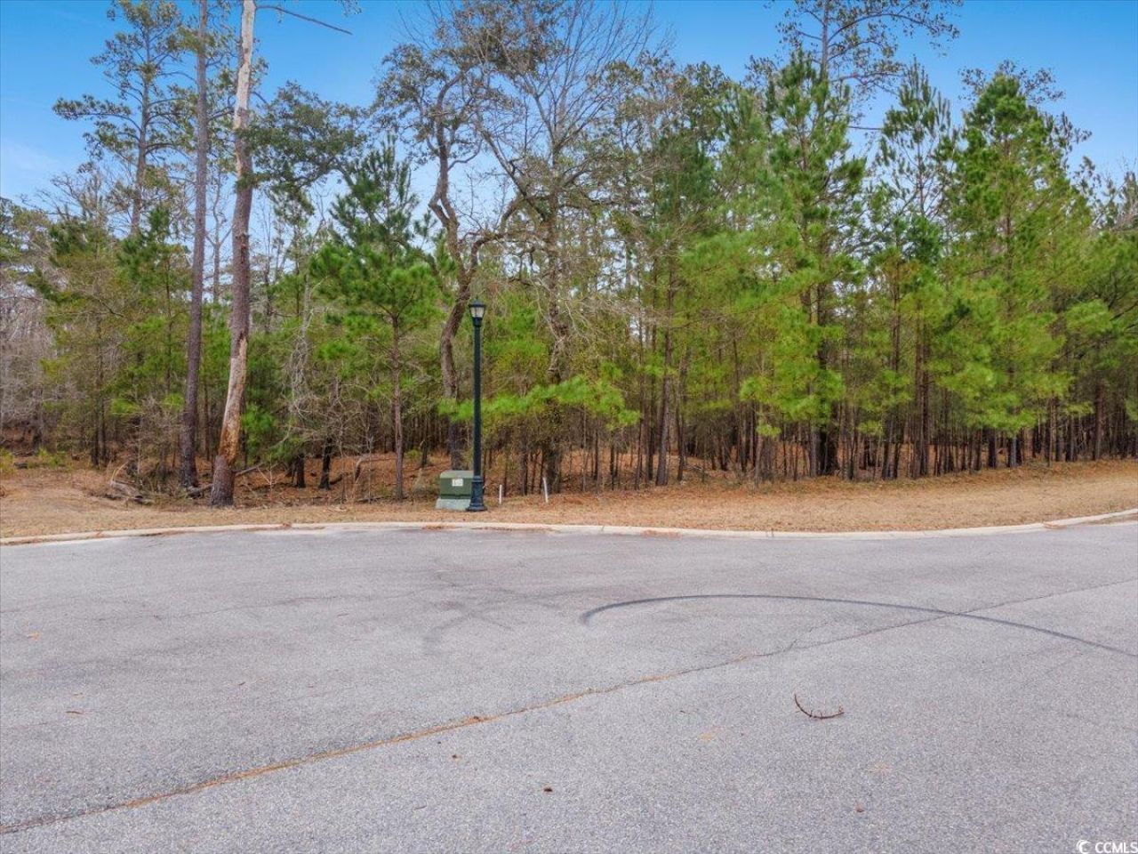 305 Cypress Flat Ct. Photo 6