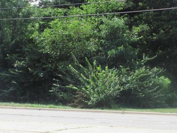 000 Main Street, Lisle, IL 60532