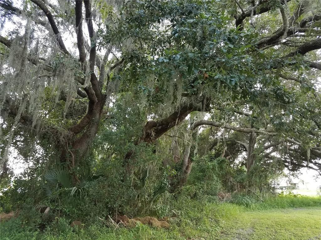 Please Call For Address, Kissimmee, FL 34744 Photo
