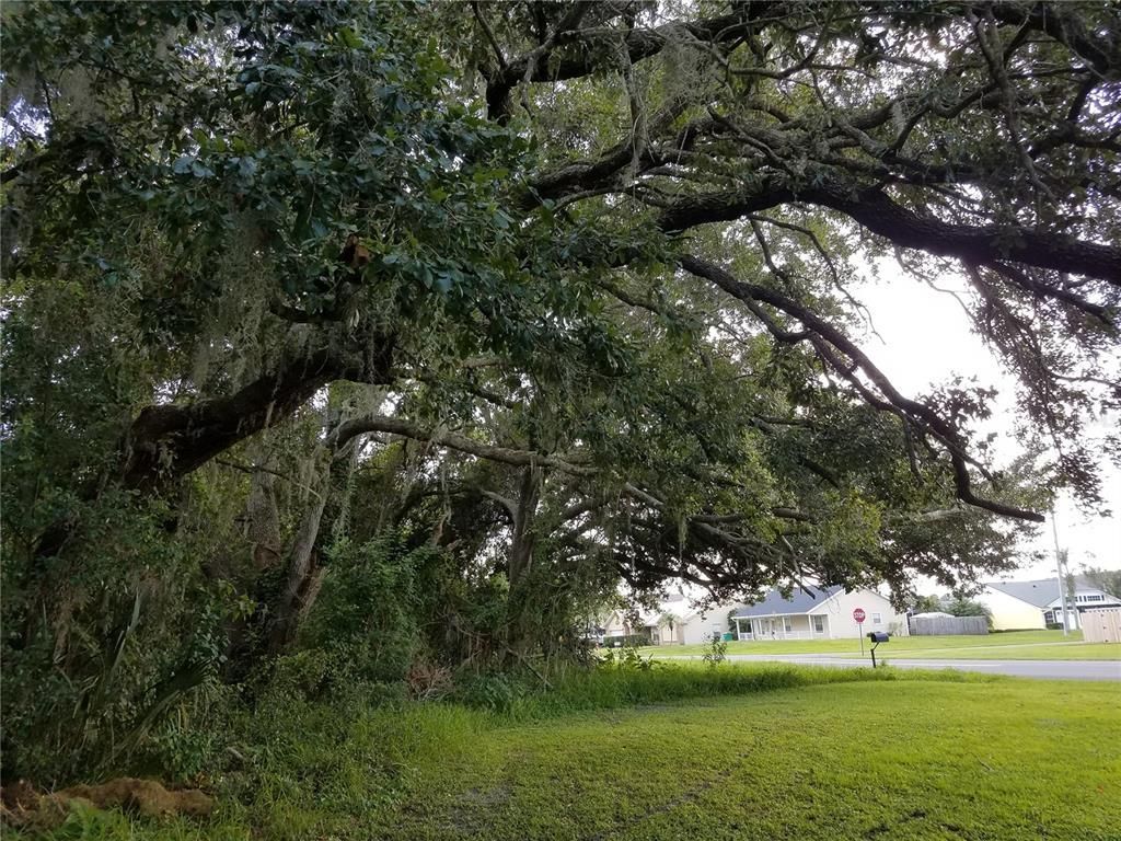 Please Call For Address, Kissimmee, FL 34744 Photo