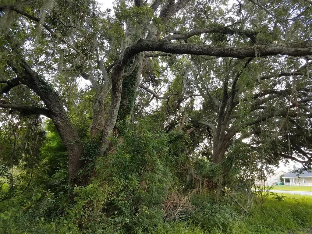 Please Call For Address, Kissimmee, FL 34744 Photo