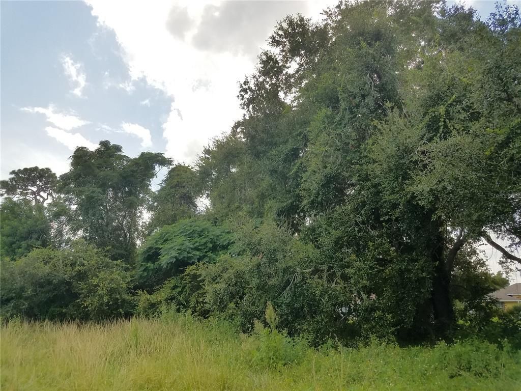 Please Call For Address, Kissimmee, FL 34744 Photo