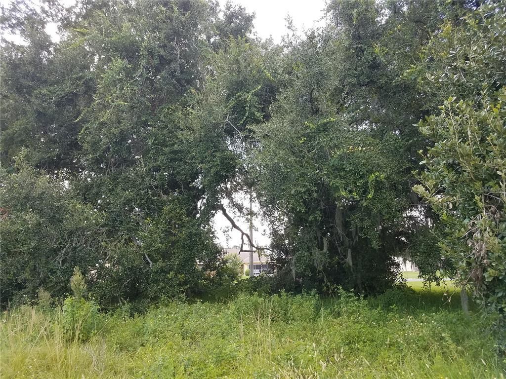 Please Call For Address, Kissimmee, FL 34744 Photo