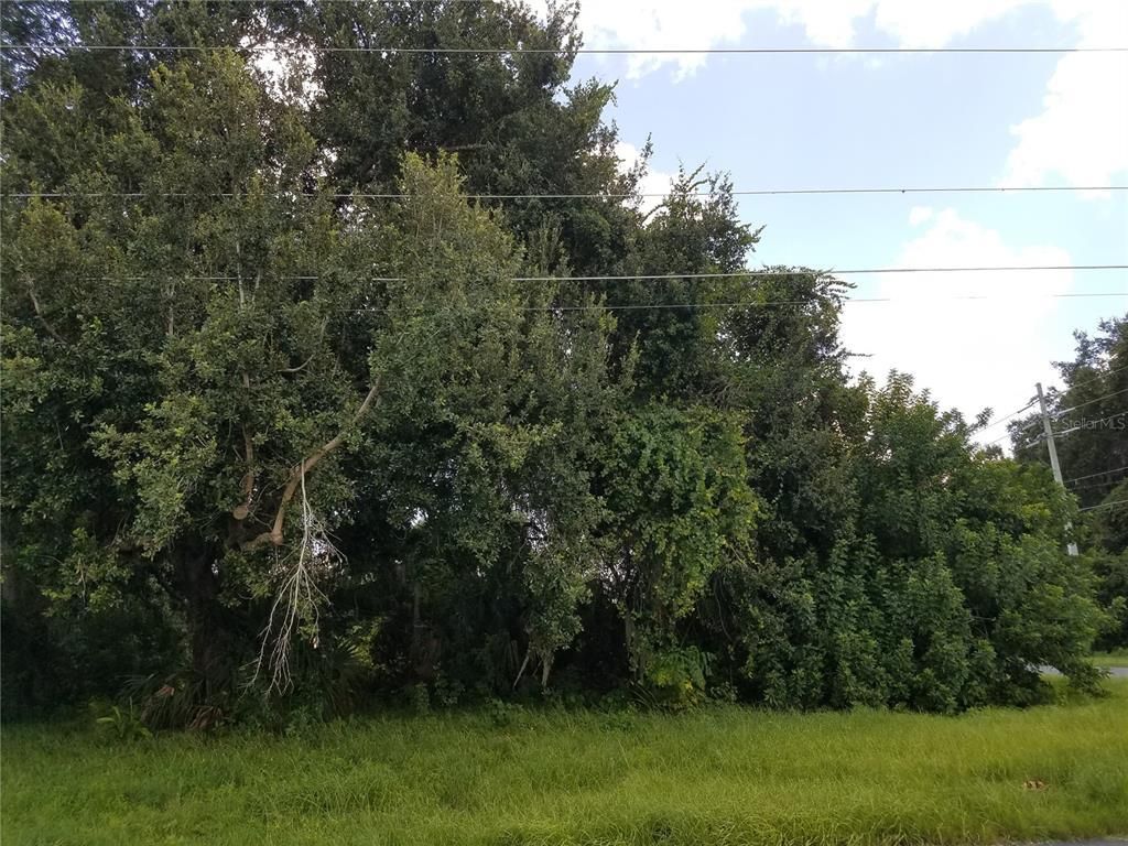 Please Call For Address, Kissimmee, FL 34744 Photo