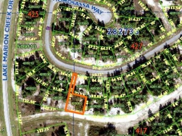 1352 HOMOSASSA DRIVE, POINCIANA, FL 34759