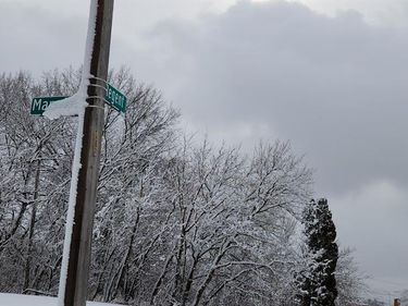 14405 MANNING Street, Detroit, MI 48205