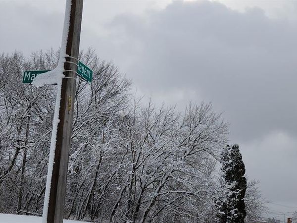 14405 MANNING Street, Detroit, MI 48205