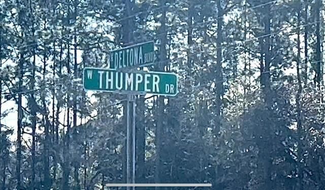 9719 N Deltona Boulevard, Citrus Springs, FL 34434 Photo