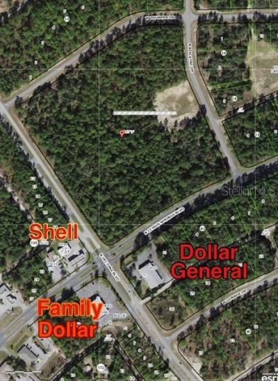 9719 N Deltona Boulevard, Citrus Springs, FL 34434 Photo