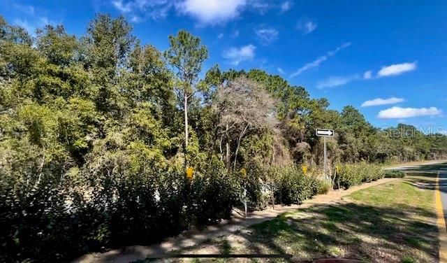 9719 N Deltona Boulevard, Citrus Springs, FL 34434 Photo