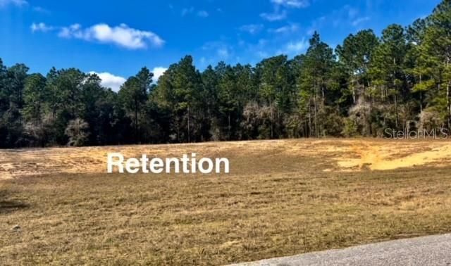 9719 N Deltona Boulevard, Citrus Springs, FL 34434 Photo