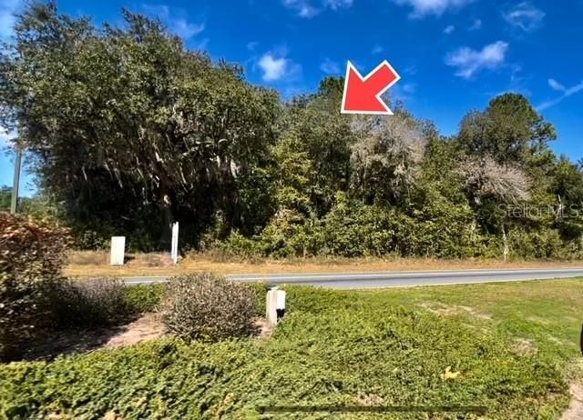 9719 N Deltona Boulevard, Citrus Springs, FL 34434 Photo