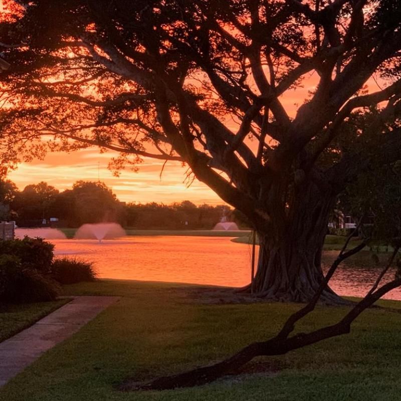 3119 Kingston Court, West Palm Beach, FL 33409 Photo