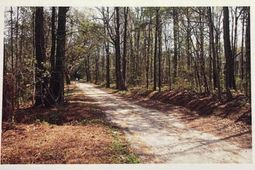 1690 Highway 41 photo 4