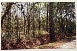 1690 Highway 41 photo 4