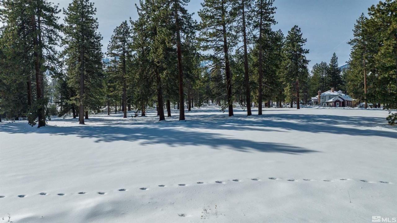 1 Pine Mesa Court, Washoe Valley, NV 89704 Photo