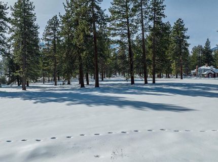 1 Pine Mesa Court, Washoe Valley, NV 89704 Photo