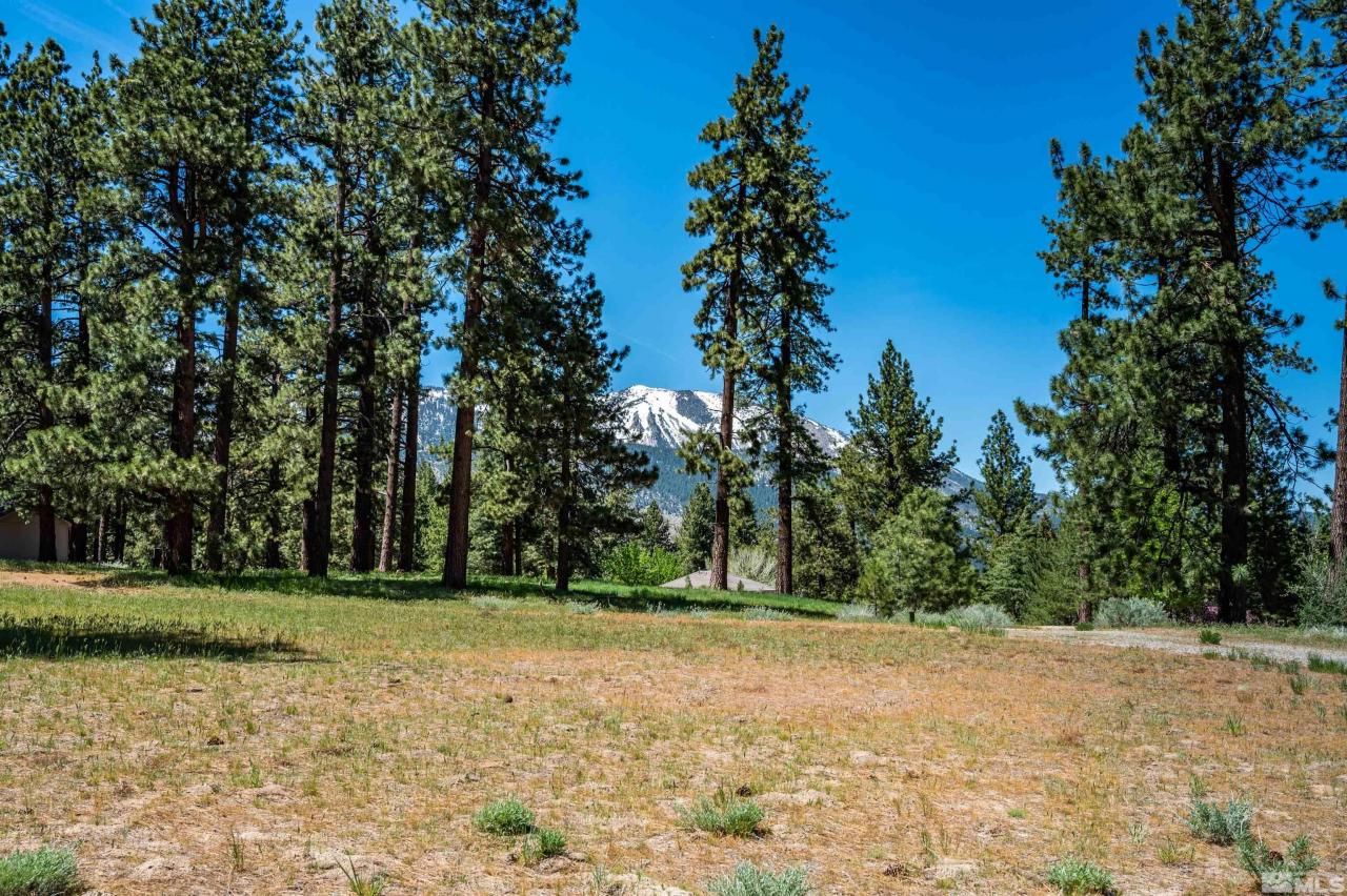 1 Pine Mesa Court, Washoe Valley, NV 89704 Photo