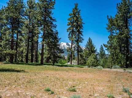 1 Pine Mesa Court, Washoe Valley, NV 89704 Photo