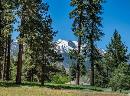 1 Pine Mesa Court, Washoe Valley, NV 89704 Photo