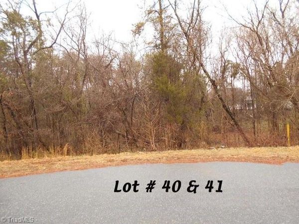 #40 & #41 Fox Run, Eden, NC 27288