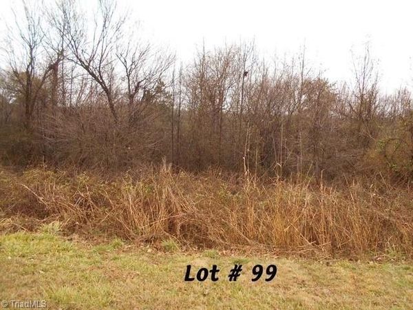 #99 River Chase Drive, Eden, NC 27288