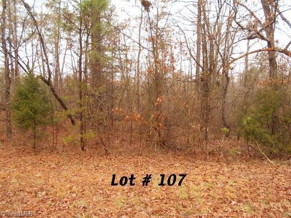 #107 Deer Run, Eden, NC 27288