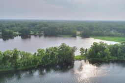 1012 Mccrae Drive photo 4